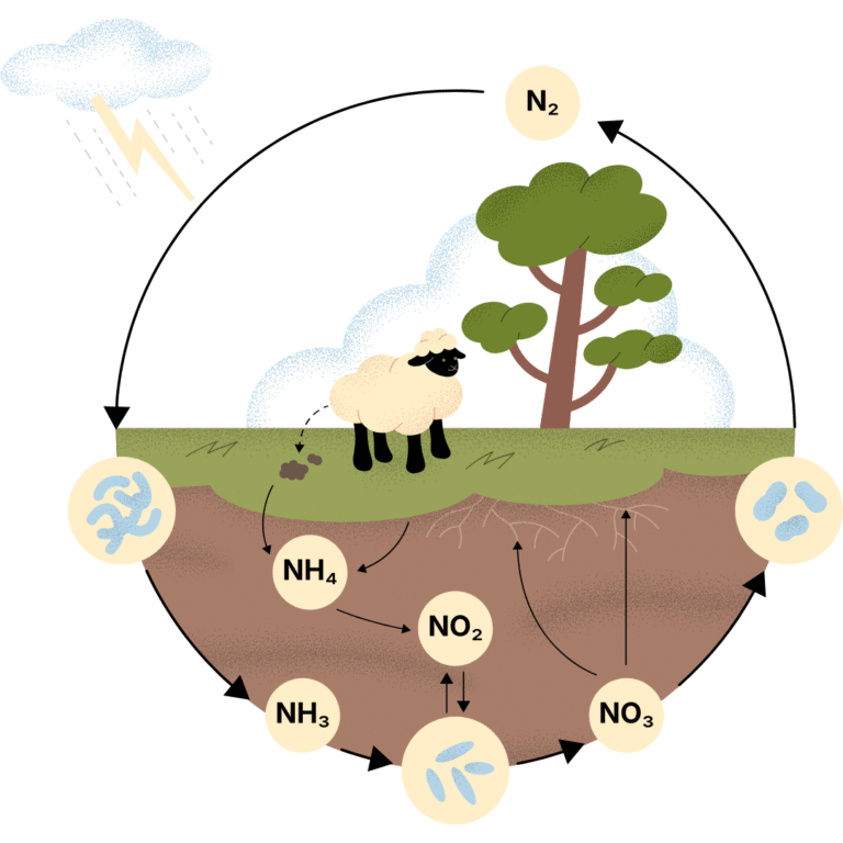 enem, vestibulares, estudos, educacao, gratis